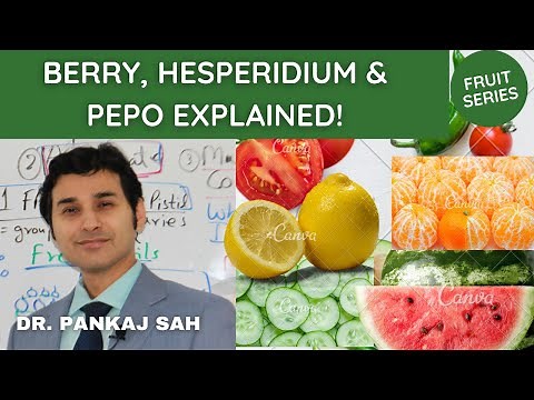 FRUITS- PART 4 (BERRY & ITS MODIFICATIONS- HESPERIDIUM & PEPO) BSc, MSc, NET, NEET.