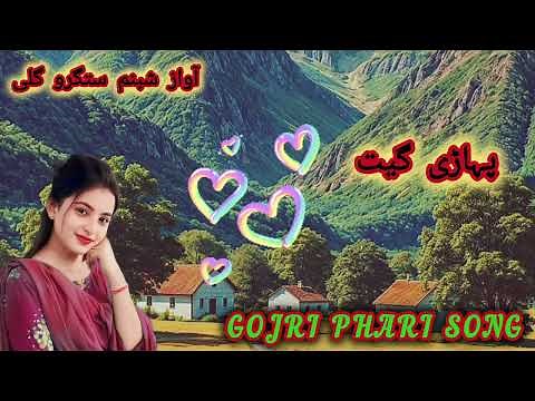 Gojri phari song!!gojri instruments gojri