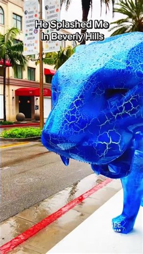 He splashed me in the rain in Beverly Hills