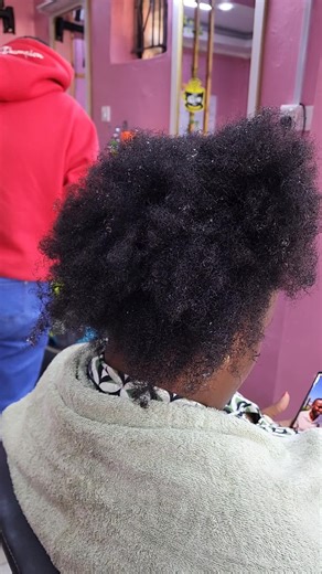 Top Knotless Braids and Twist Hairstyles at Myley Salon