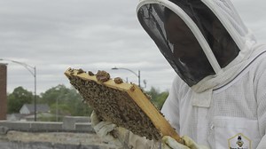 Meet a Rooftop Beekeeper on Chicago’s West Side | Chicago Works | WTTW Chicago