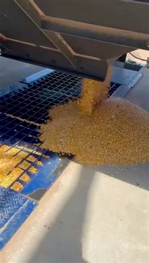 More storage. Faster unloads. Zero hassle. Upgrade your bin today! #wallbinhoppers #GSI | Wall Bin Hoppers