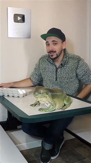 This Frog Is A Celebrity 😍 #shortsfeed