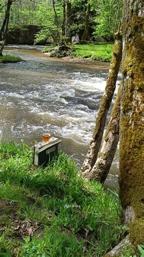 Exploring the Beauty of Azrou, Lhajeb, and Khenifra in Morocco