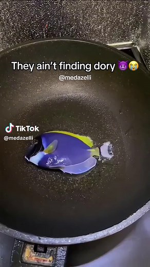 Shi tragic jus keep swimming 🙏🏽💔 | Frying Dory