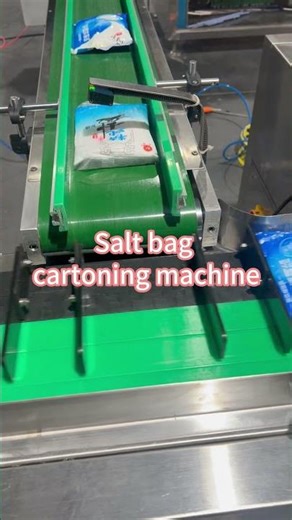 Automatic Salt Packaging Box Machine | Salt Cartoning Solution
