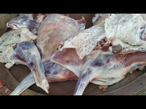 Goat Meat Cutting Masterclass 🔪🐐 🔥 || Fast & Clean Butcher Technique