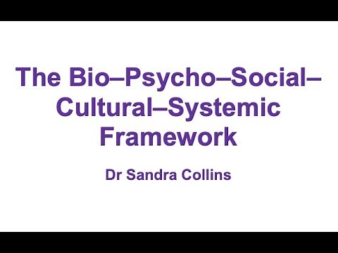 The Bio-Psycho-Social-Cultural-Systemic Framework