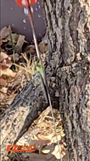 Trim smarter, not harder. Reach up high or work down low with one versatile EZ Smart Pruning Saw!