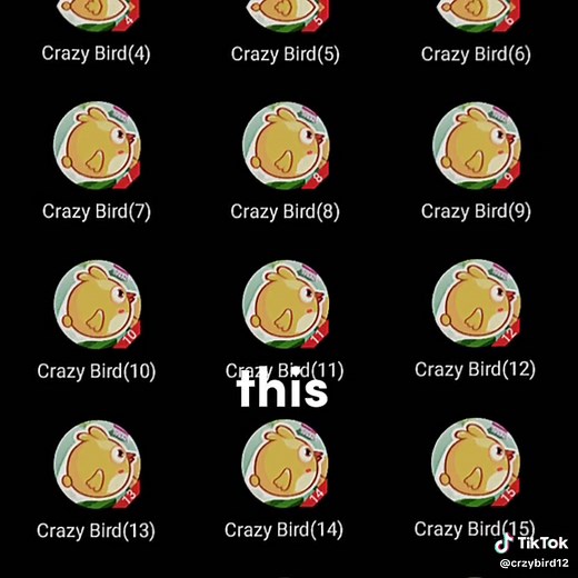 CRAZYBIRD on TikTok