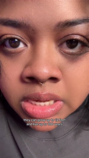 #greenscreen scary ocean creatures | NightmarexJas