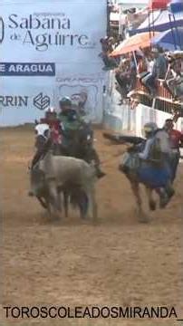 Luis Correa en Pamela 💪🚀🎆🐴 #feveco #toroscoleados
