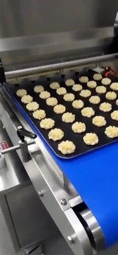 PLC Control Wire Cut Biscuit Cookie Production Line Fortune Cookies Dropping Machine