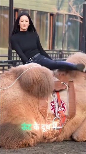 गाय vs ऊंट का दूध:🤯क्या है असली अंतर? #camelmilk #cowmilk #facts #gk #sciencefacts