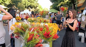 Photos & Videos Downtown Chico, CA