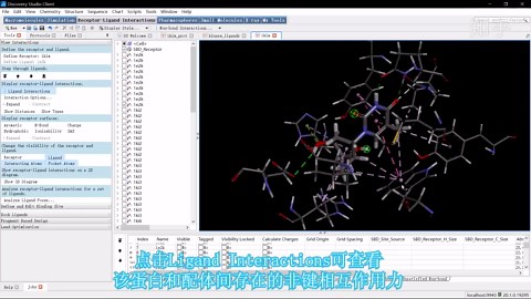 分子模拟软件Discovery Studio进行最快的分子对接-Libdock