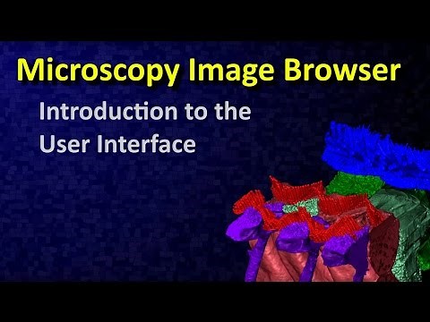 Introduction to the user interface of Microscopy Image Browser
