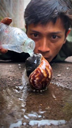 Mischievous Tarzan splashes the cute snail with water #shorts #snail