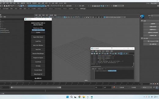 Metahuman自定义角色+DNA 全身骨骼匹配流程
