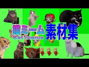 【猫ミーム】猫ミーム素材集#猫ミーム #猫マニ #素材 #catmemes #catmeme
