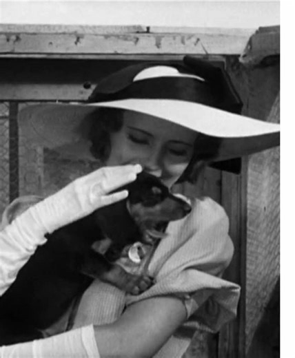 Barbara Stanwyck: Ever in My Heart