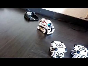 Cozmo robot - small WALL-E or electronic hamster?