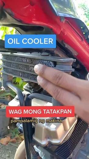 Understanding Oil Coolers: Tips, Facts, and How They Work