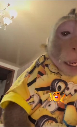 Humor com Minions: Edits e Cenas Engraçadas