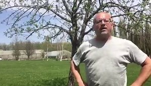 9K views · 133 reactions | All you need to know about APPLE TREE POLLINATION...info taken from the book Successful Gardening on the Northern Prairie by Eric Bergeson. Details and online order info at www.ericbergeson.com | Eric Bergeson | Facebook