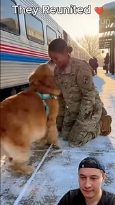 Soldiers coming home to their dogs 🥺❤️ #shorts #dog #soldier #reunion #emotional #fyp #usa