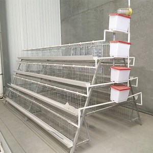 [Hot Item] a Type Hot DIP Galvanized Battery Layer Chicken Cage Poultry Farm Equipment