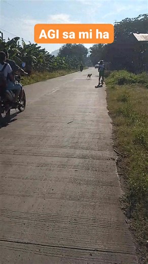 #walkingexercise | Virginia Pica