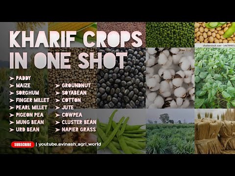 crop production technology -1 |kharif crops| in one shot | by avinash agri world |#bsc #agriculture