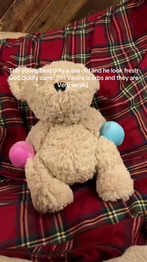 Sam plush Roblox bear #sam #fyp #bear #cheedaman #viral | bear