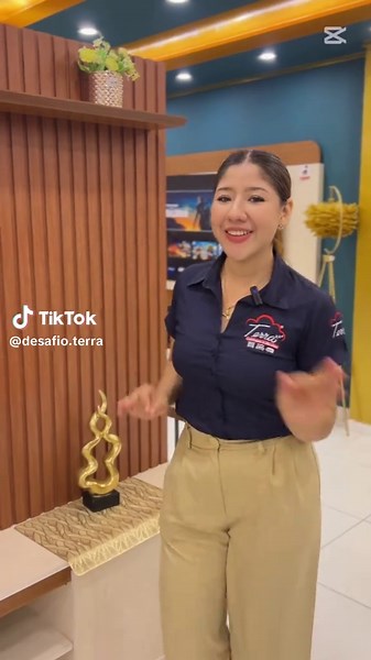 DESAFIO TERRA on TikTok