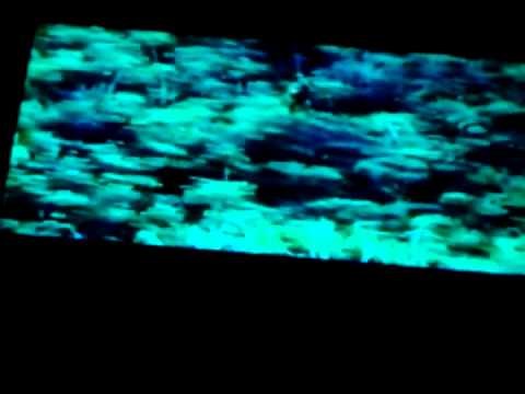 Opening To Kim Possible the secret files 2003 VHS
