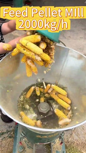 Turn Corn Into Premium Feed Pellets in Minutes | Feed Pellet Mill#farmequipment #farming #animals