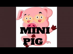 Mini Pig