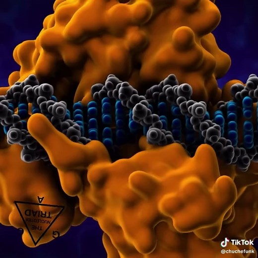 Understanding DNA and Genetics: The Basics