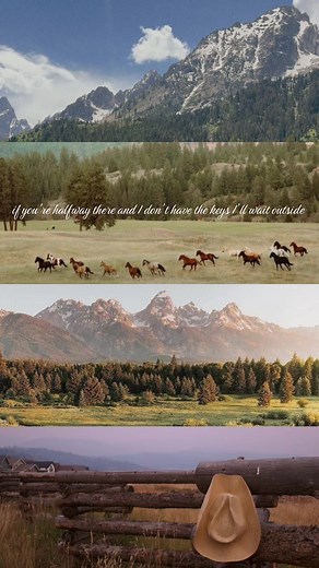 New summer anthem 🔜 #sambarber #wild #summervibe #country #musicformysoul