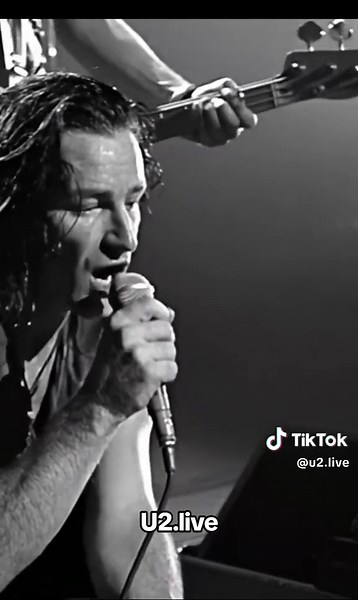 U2 on TikTok