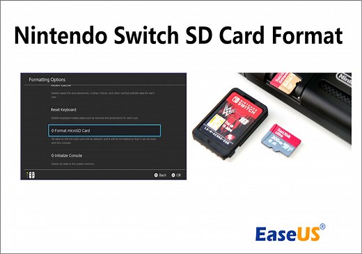 Nintendo Switch SD Card Format: How to Format SD Card for Nintendo Switch