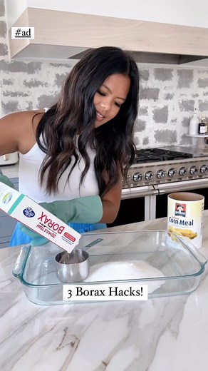 59K views · 17 reactions | [AD] There are so many cleaning hacks with one box of 20 Mule Team Borax®! Here I’m sharing how to make your own multi-purpose cleaner, helps remove tough stains, and preserve flowers with Borax! @20muleteamborax_ #BoraxPartner #Borax | Niña Williams Blog | Facebook