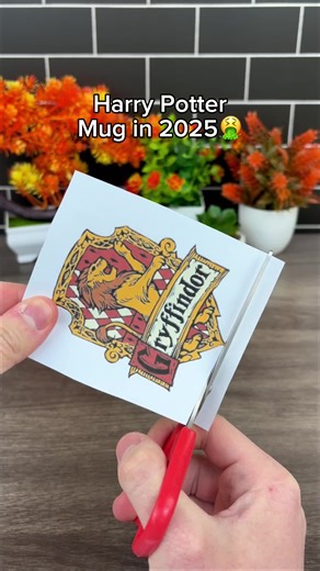 Harry Potter Themed Mugs for Potterheads