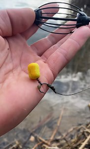 Who Knows! Unbelievable Fishing Moments Caught on Camera