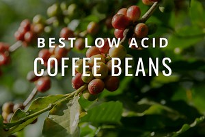 Best Low Acid Coffee Brands 2026: Top Easy-on-the-Stomach Blends