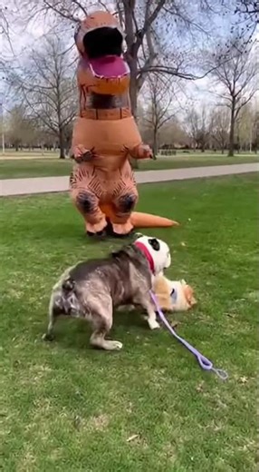 T-Rex vs Bulldog: Hilarious Park Prank! #Viral #Comedy #DogDrama