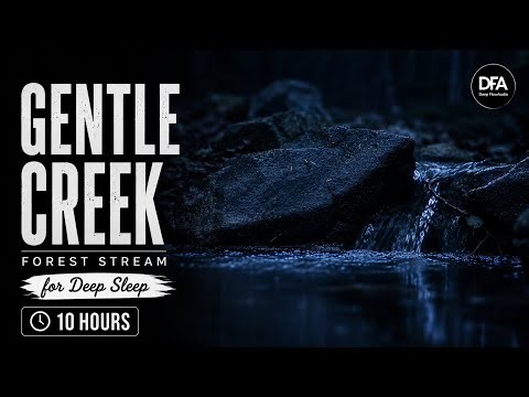 Creek Sounds for Sleeping | Forest Stream for Deep Sleep (10 Hours Black Screen)