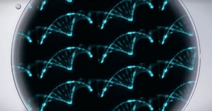 Aging is driven by unbalanced genes