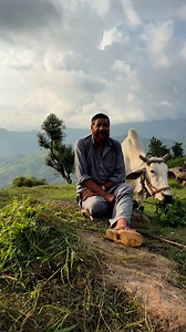 38K views · 2.8K reactions | Gojri Kalam - Mendhar Poonch Jammu and Kashmir… #GOJRIKALAM #facebookreelsviral #mendharpoonch #SaifulMalook #instagramreels #trendingreel #gojriculture | Ased Iqbal | Facebook